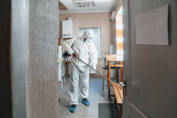 Best Mold Remediation for Healthcare Facilities  in Dagsboro, DE