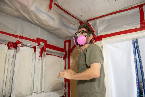 Best Asbestos and Lead Testing During Mold Inspection  in Dagsboro, DE